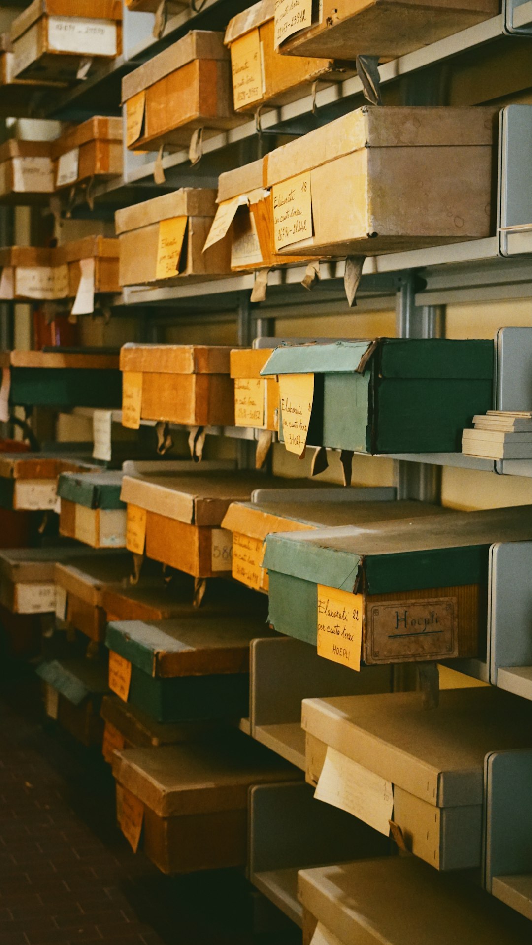 Shelves filled with labeled archive boxes storing program evidence