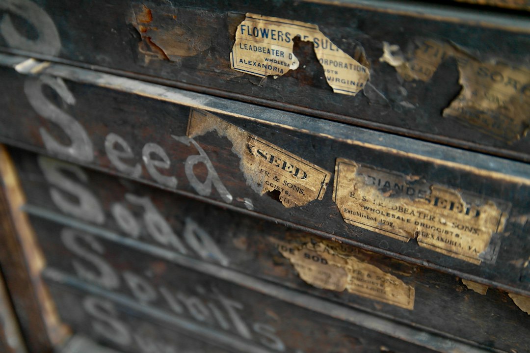 Shelved binders and folders in an organized archive